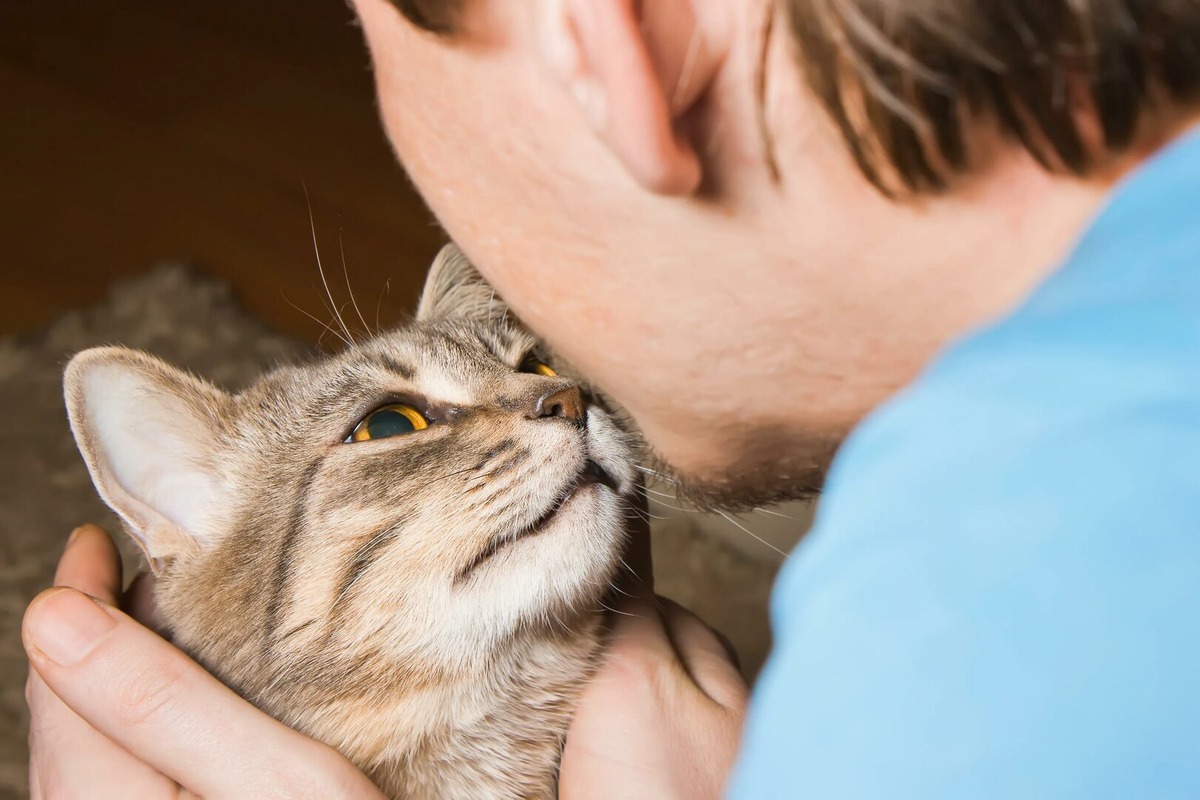 Фото из Интернета.