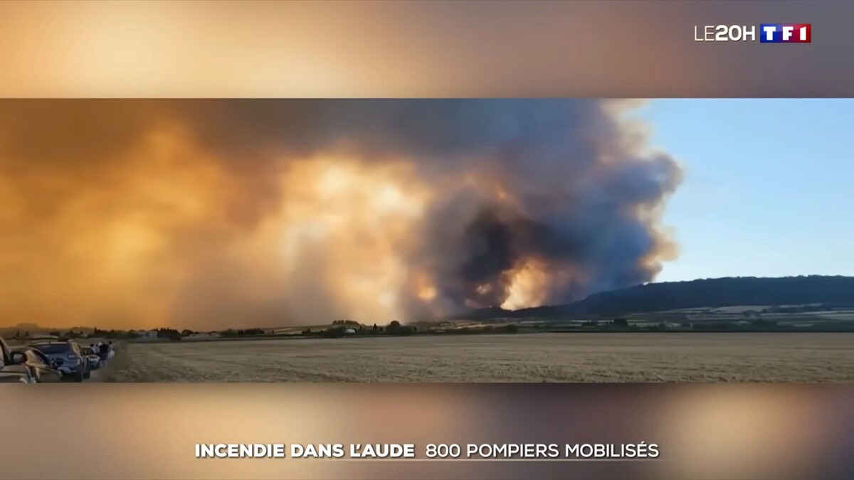    Кадр видео канала TF1 INFO/www.youtube.com/watch?v=s9SOfce_wHU