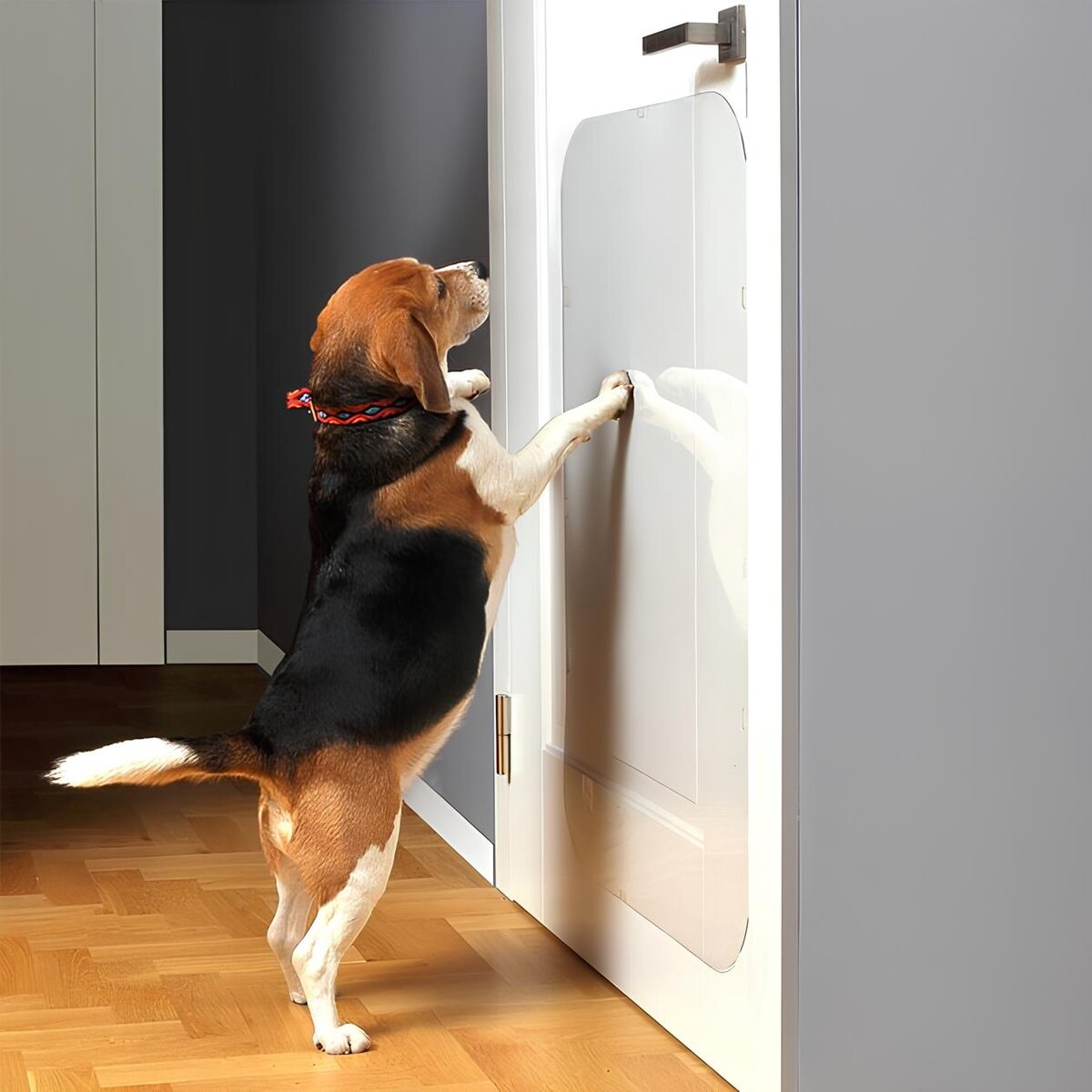 Защитные пленки можно клеить на фасады шкафов, двери и даже мягкую мебель. Фото из сети Интернет.