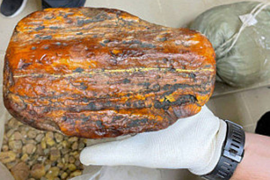 Фото: Генпрокуратура РФ