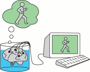 Мозг в колбе