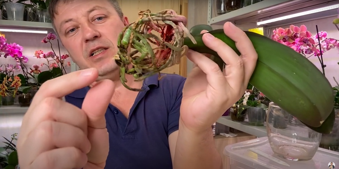 Создать карусель