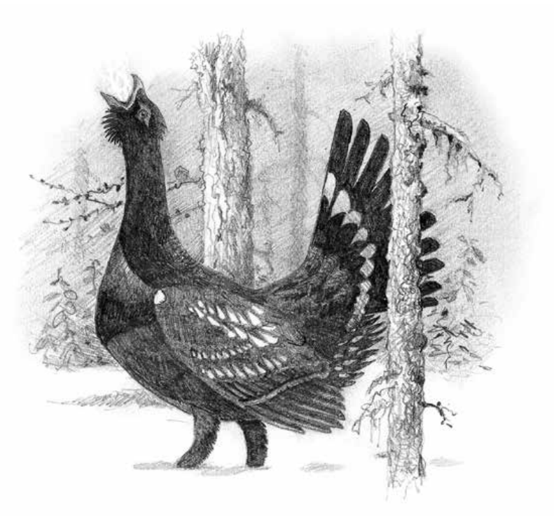   Евгений Коблик / Альпина нон-фикшн, 2025