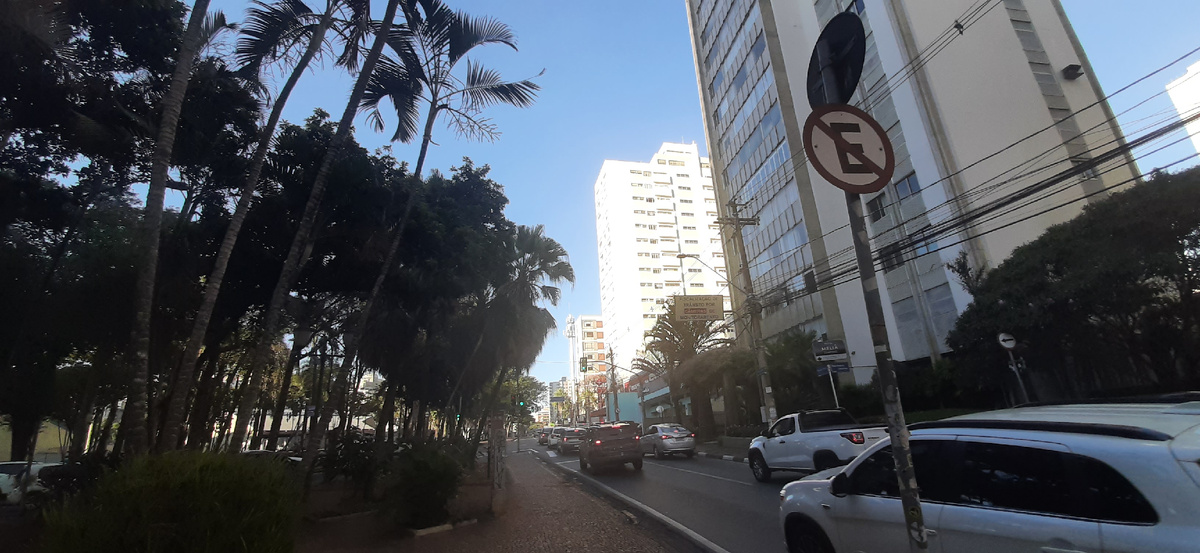 Бразилия, город Кампинас (штат Сан-Паулу).