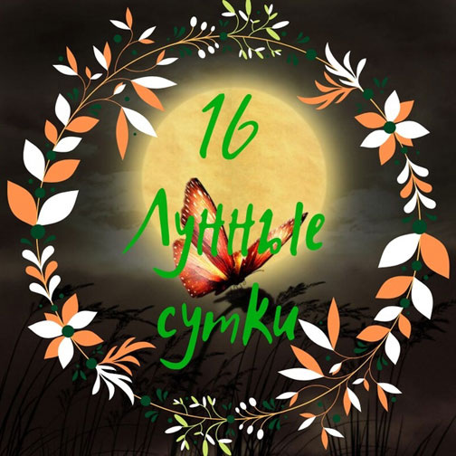 Лунный календарь и астропрогноз на 08.08.2025 года от астролога Елены Луженецкой