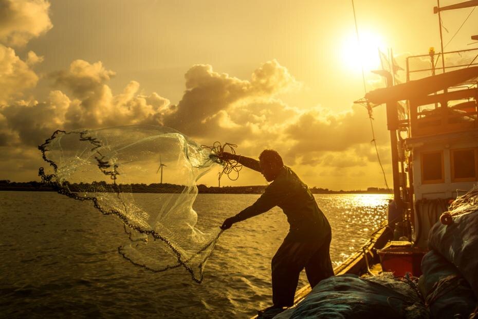    Shutterstock/FOTODOM