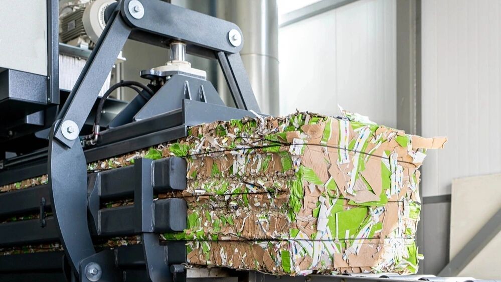    Фото: Lvivjanochka Photo/Shutterstock/Fotodom