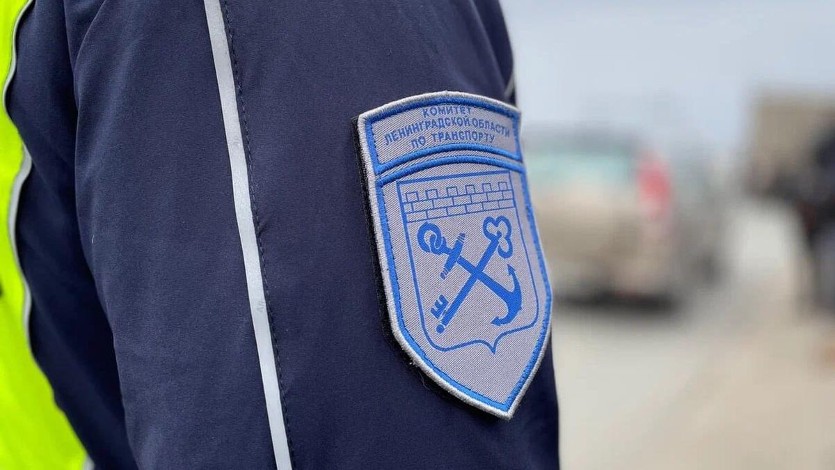    Фото: vk.com/transportlo