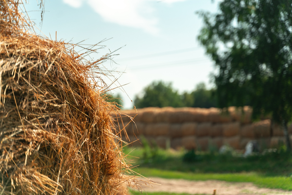 Designed by www.gor-polyana.ru