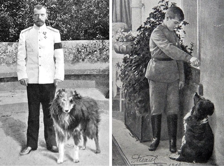 Император Николай II с собакой и цесаревич Алексей с Джоем. Источник: mauritius-images.com