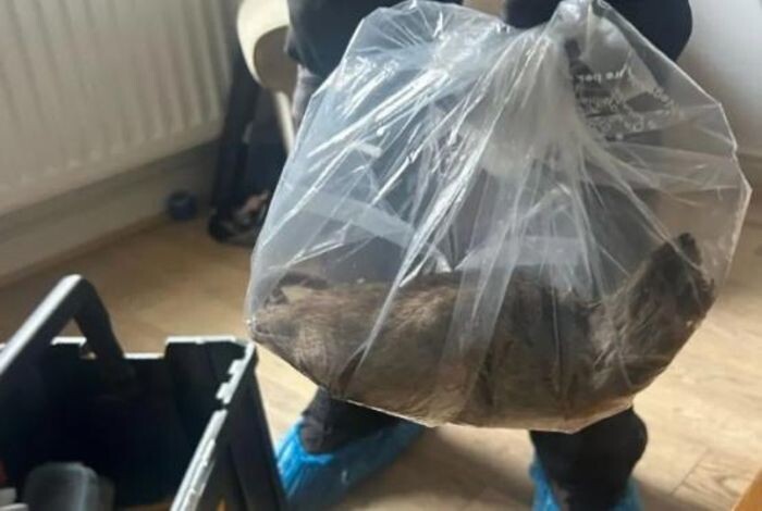 Источник фото: New York Times