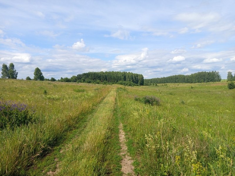 фото автора канала