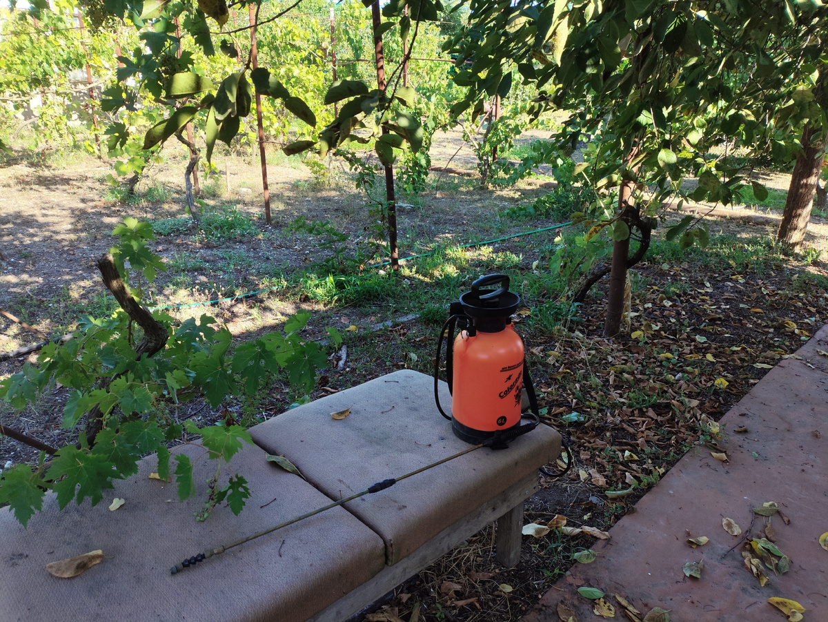 Все шесть литров разбрызгала.