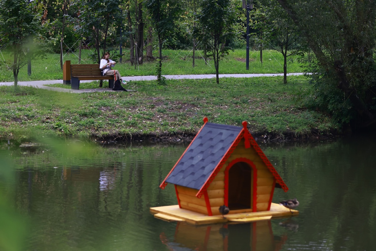 Автор фото: Павел Хацаюк / ИД «Вечерняя Казань»