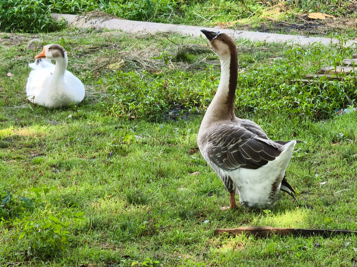 Фото с покатушки. Листайте галерею