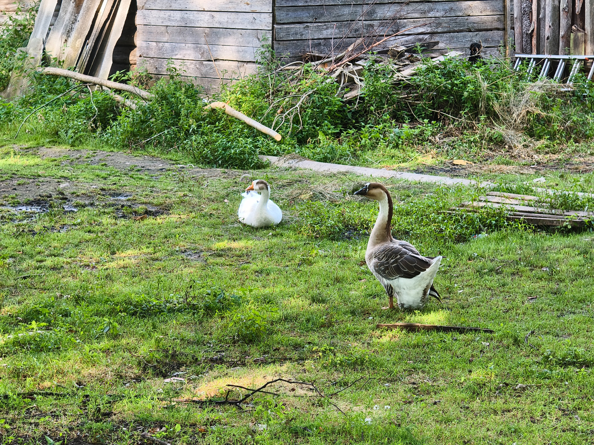 Фото с покатушки