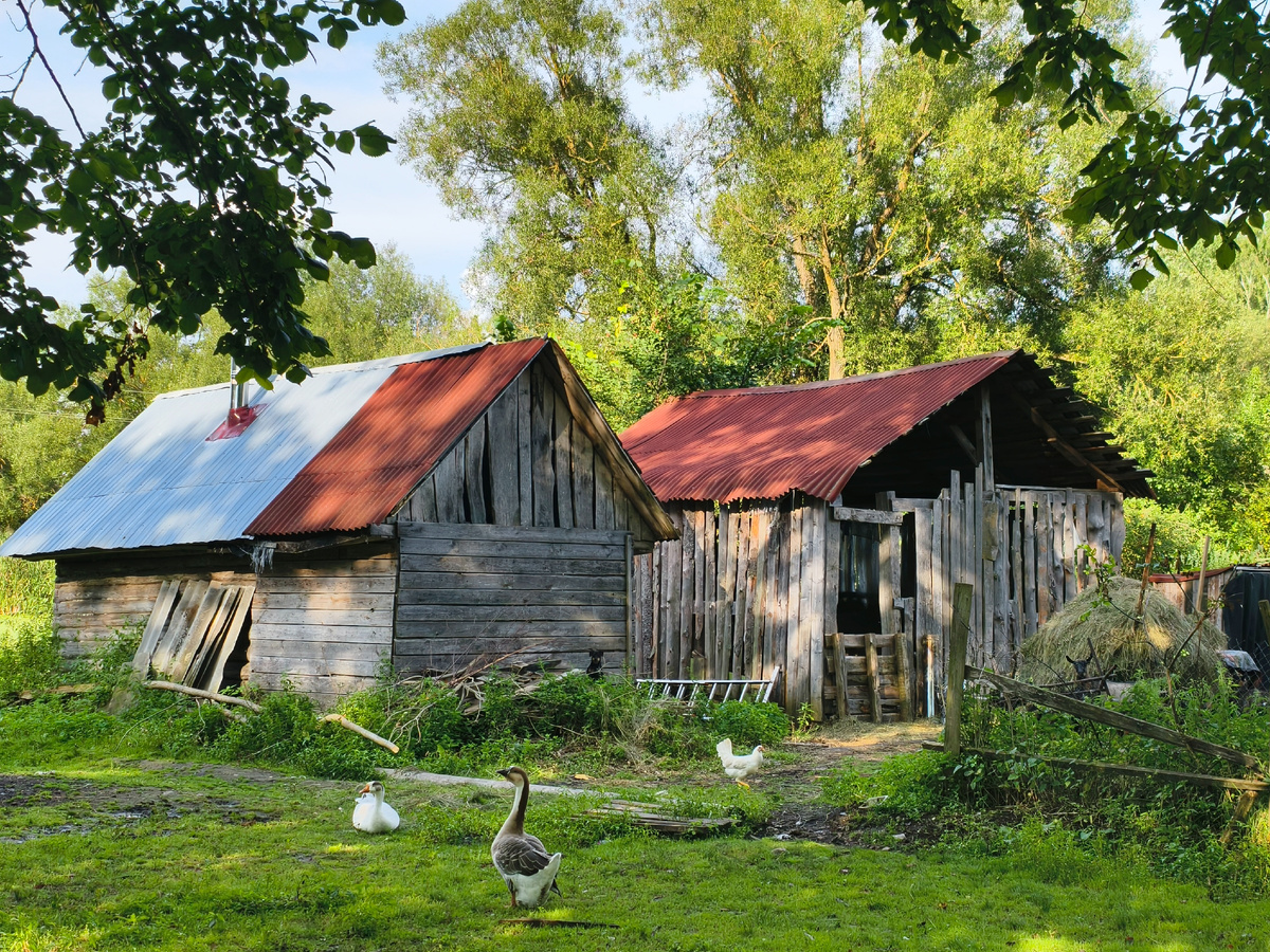 Фото с покатушки
