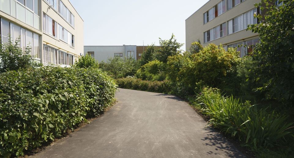    Проверка хода работ по комплексному благоустройству дворовых территорий / Медиасток.рф