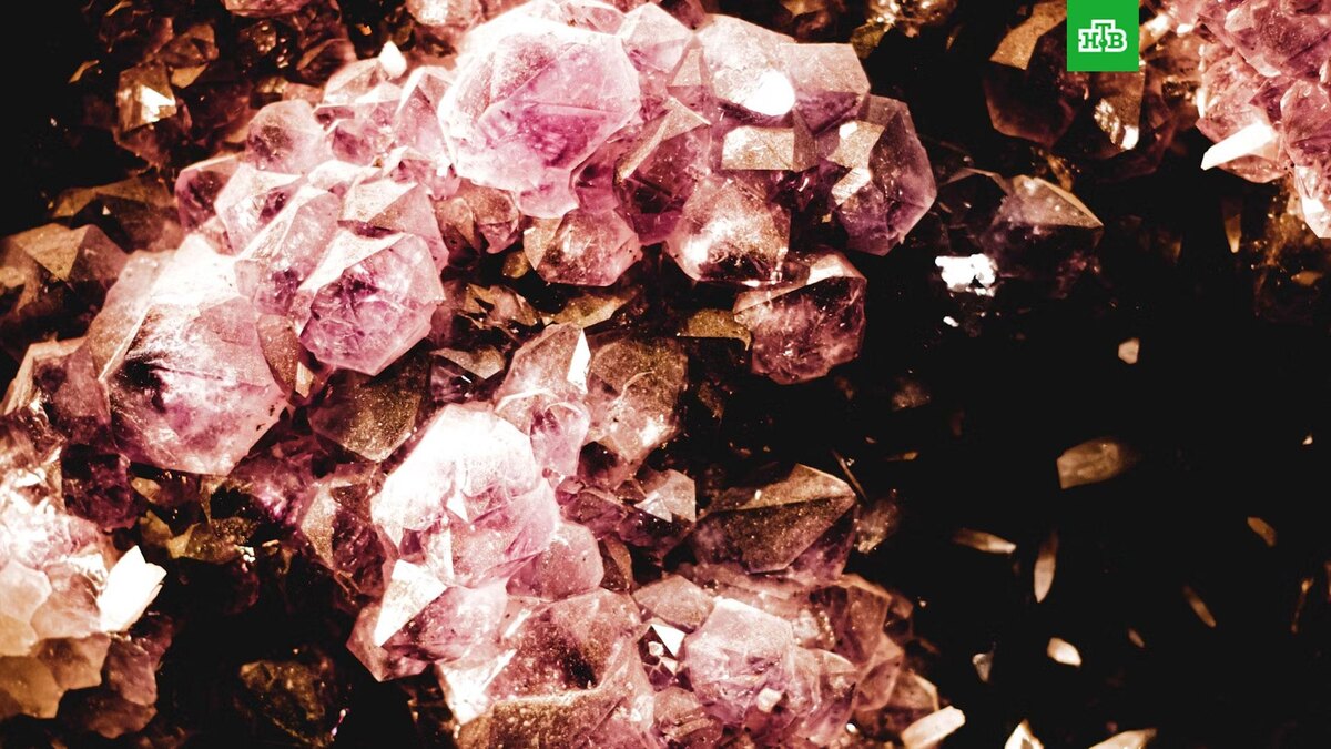    Фото: Osarugue Igbinoba / unsplash.com