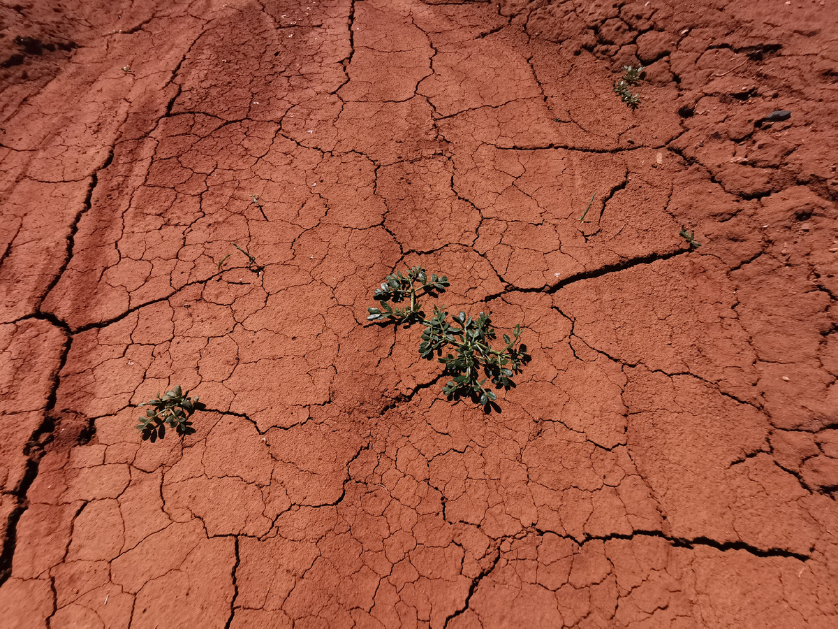 Парк Алтын-Эмель