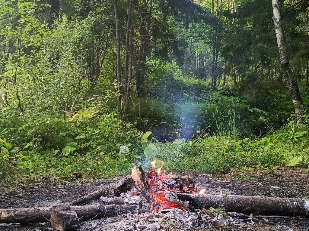    Фото: Ульяна Бажанова Ульяна Бажанова