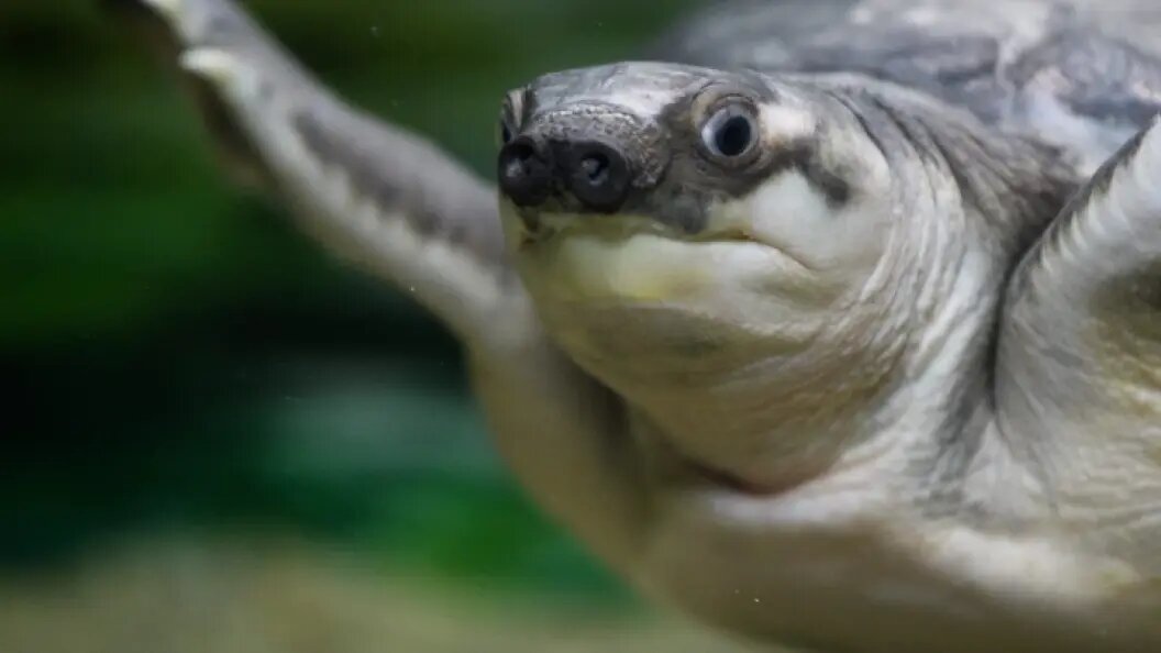    Фото: ILYA MOSKOVETS/URA.RU/GLOBALLOOKPRESS