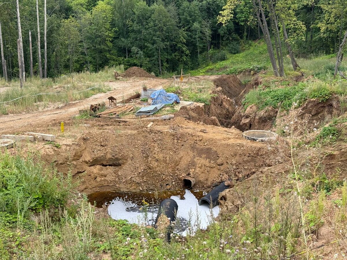 Фото: Владимир Доброхотов, Источник: t.me/dobrohotov📷
