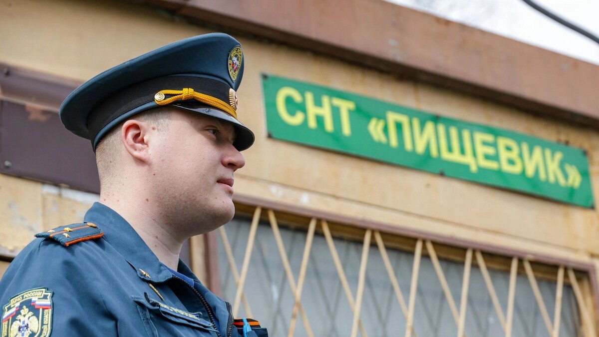 Пришло время задуматься: какую коммерцию делают дачники на своих участках? Источник: ТАСС