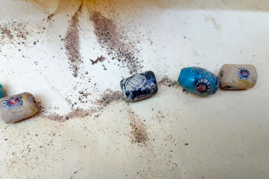    Министерство лесного хозяйства и охраны объектов животного мира Нижегородской области