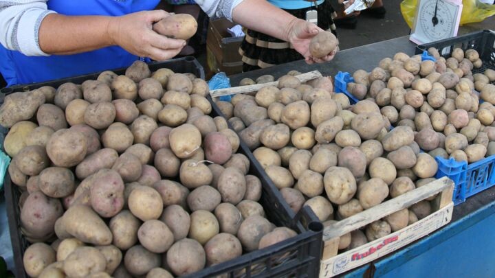    Фото: Игорь ФИЛОНОВ