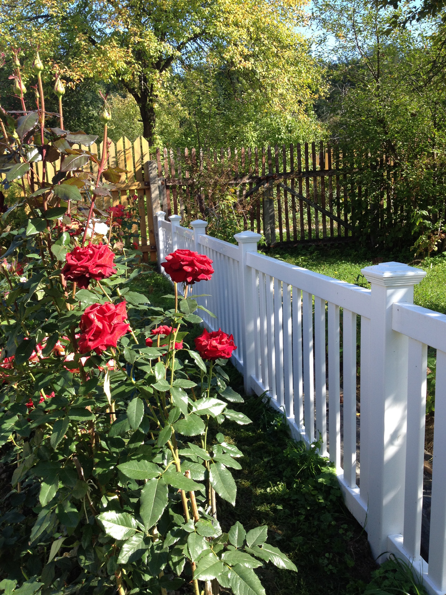 Газонное ограждение между соседними участками