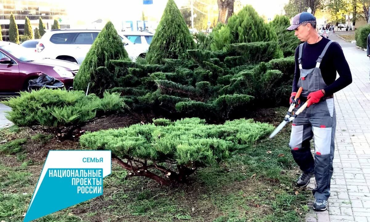    Фото пресс-службы министерства труда и социального развития