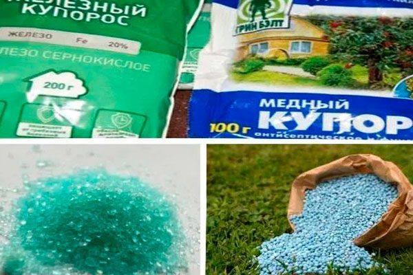 Как правильно обрабатывать яблони железным и медным купоросом, в чём их различие?