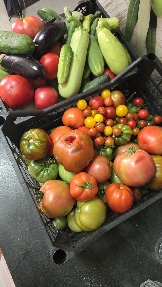 Урожай прошлого года