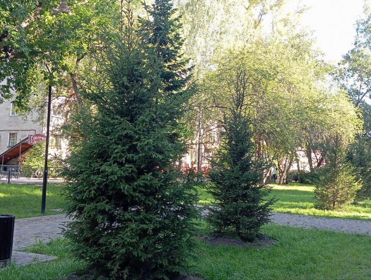 Скоро осень