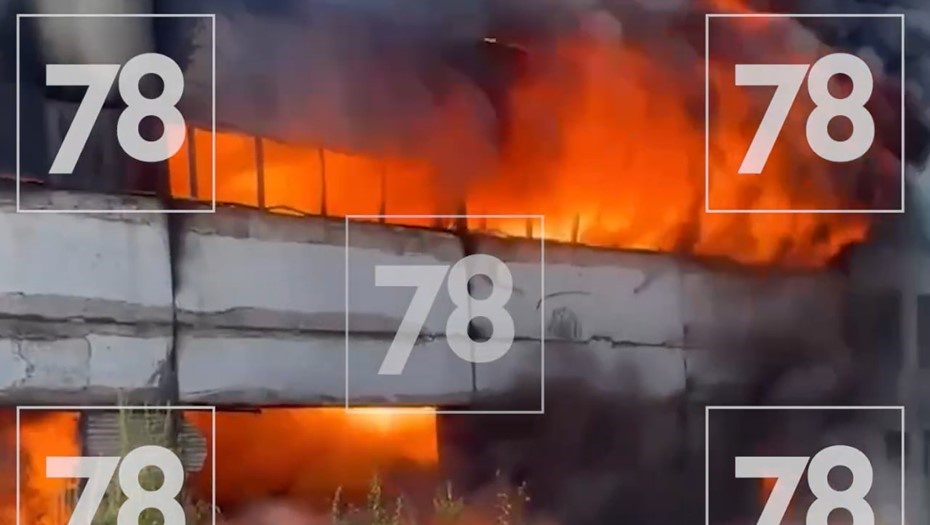    Автор фото: 78.ru