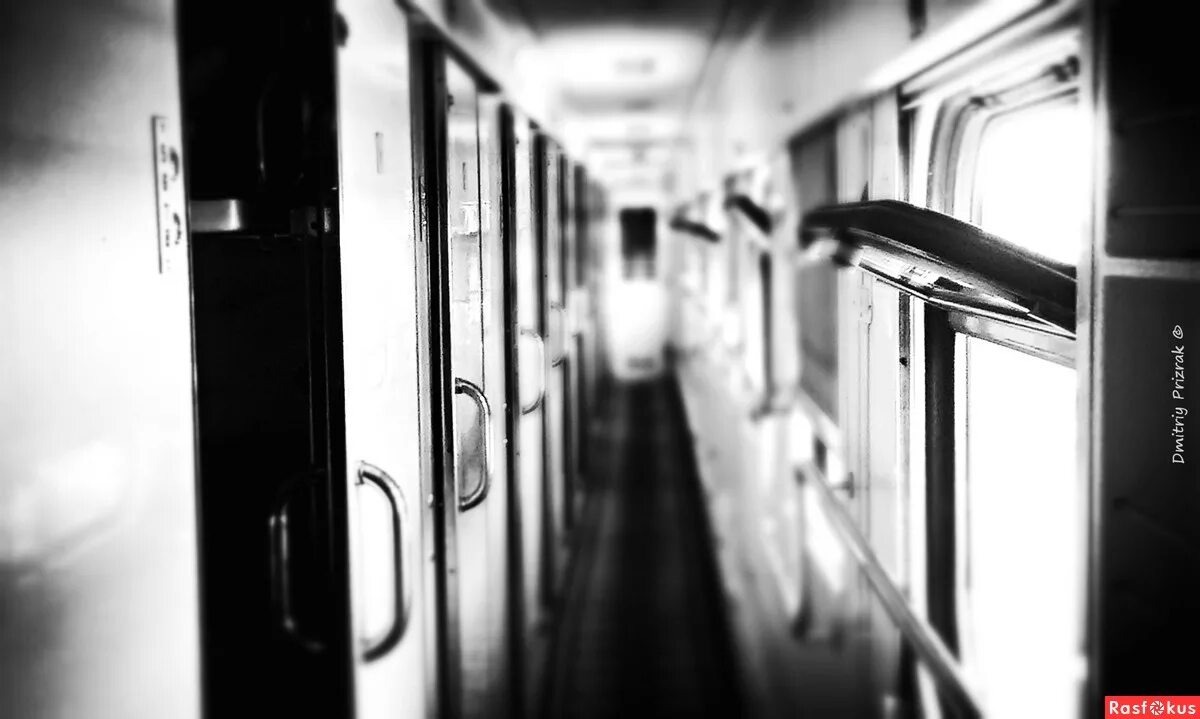 фото из интернета