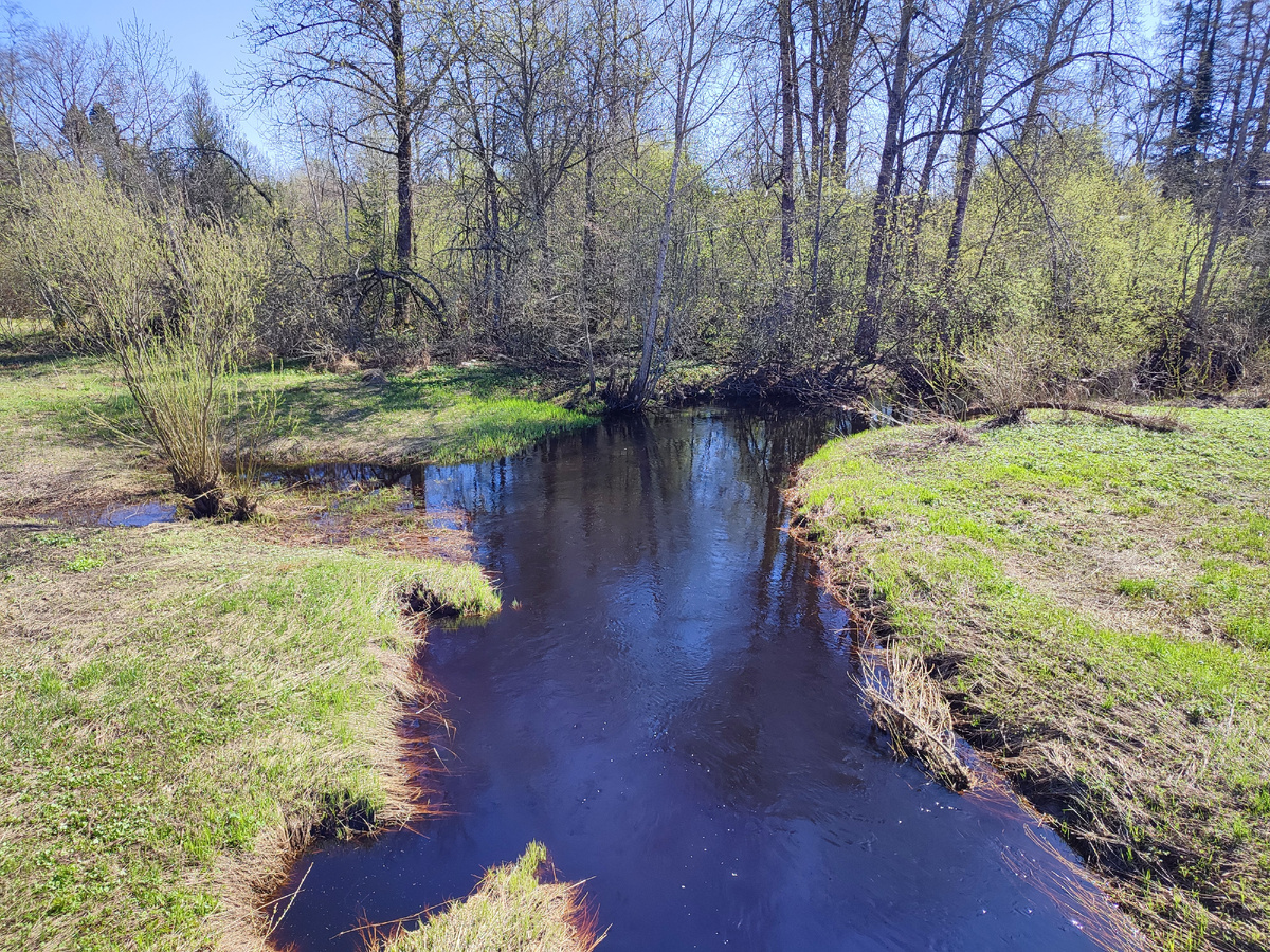 Река Лустовка. 