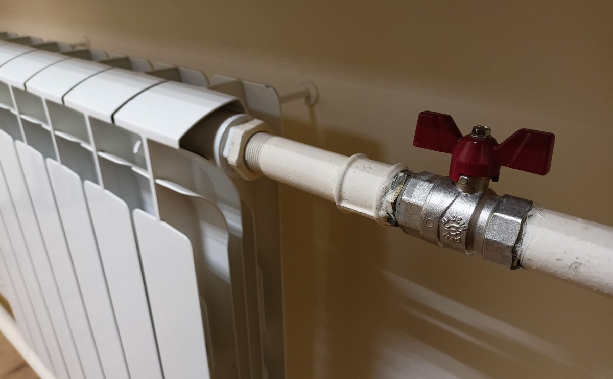    Фото: ГТРК Карелия