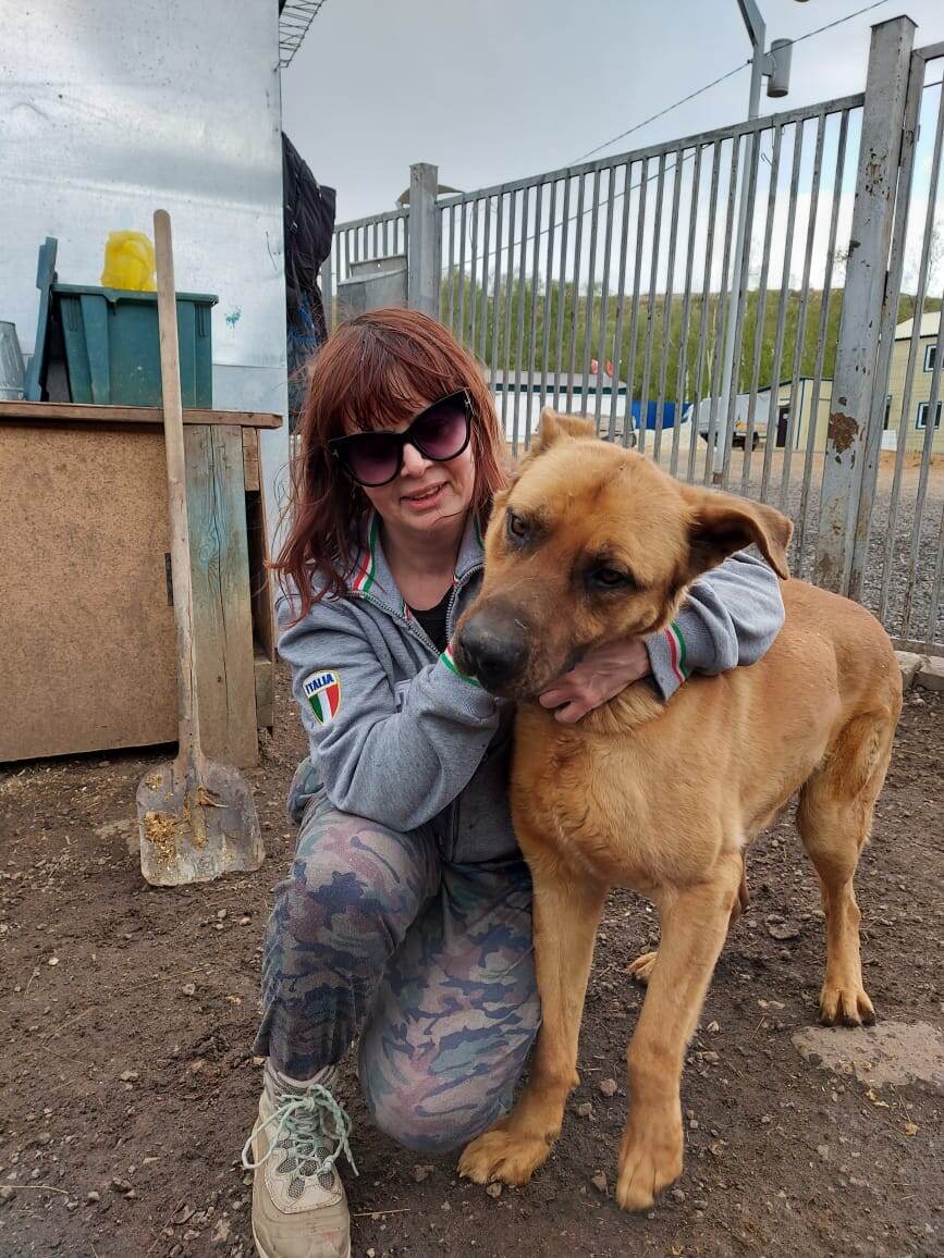 Дик - собака из соседнего ряда, я часто вижу его на площадке, когда прихожу в приют утром