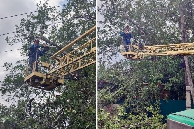    фото: "Новое медиа" Редактор
