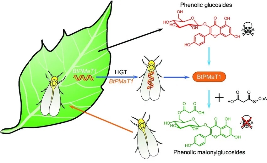 Фото из открытого исследования DOI: 10.1016/j.cell.2021.02.014 