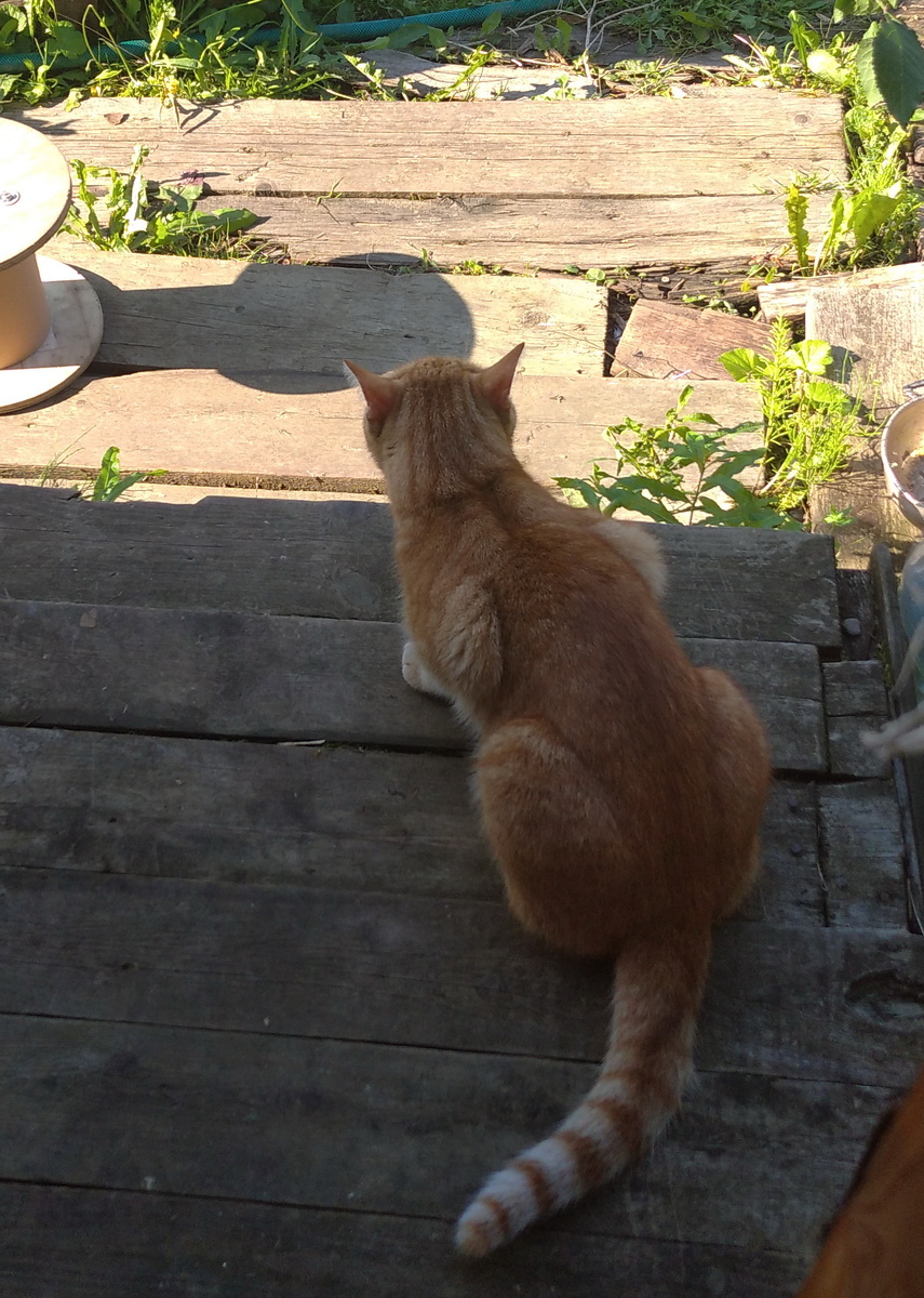 Личное  фото