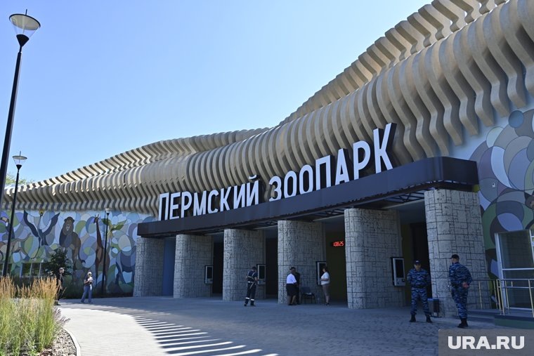  Новый Пермский зоопарк признали лучшим в России  📷
