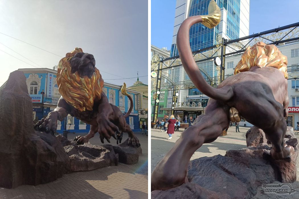    Фото: читатель © ИА «Уральский меридиан»