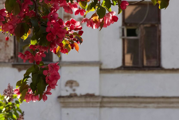     Olga Zakharchenko/Unsplash