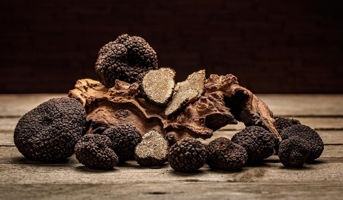     Грибной сезон: зачем нужны грибы в косметике?