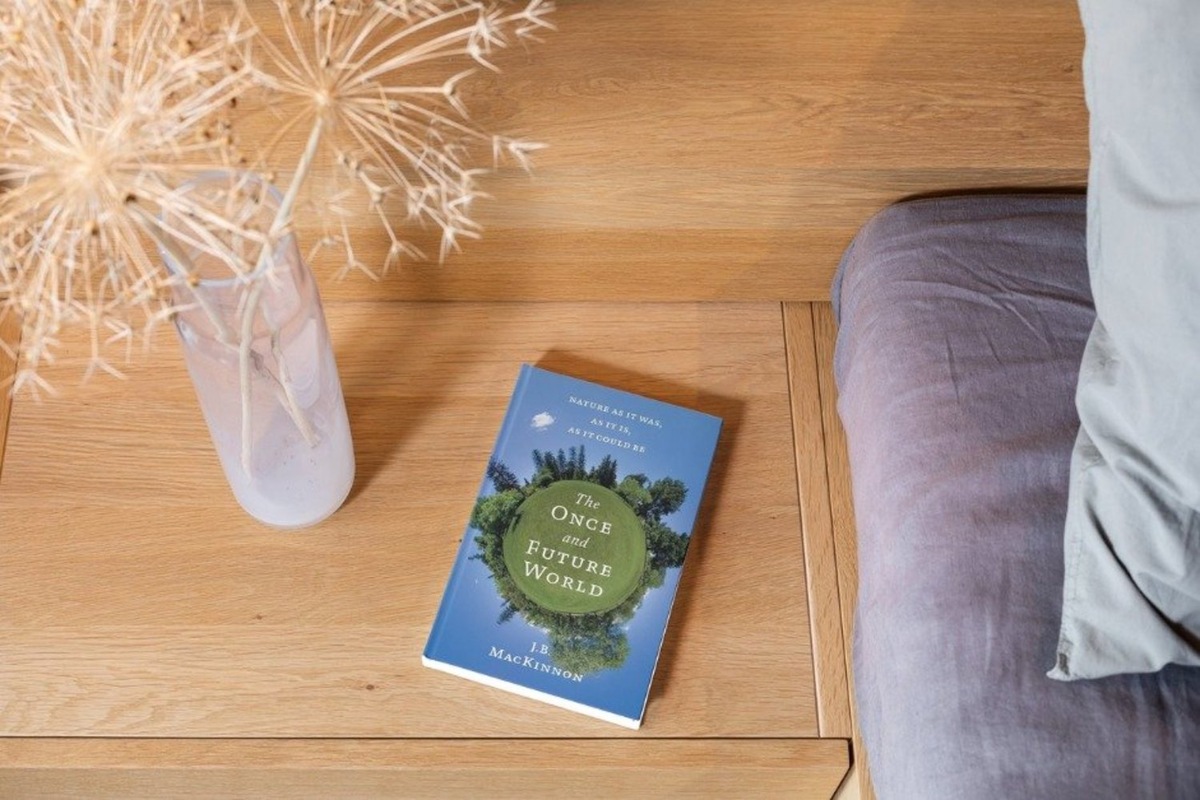   Реальное время / realnoevremya.ru