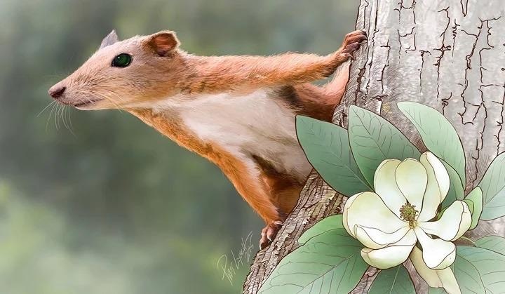 Фото:https://www.tumblr.com/search/Purgatorius?src=typed_query