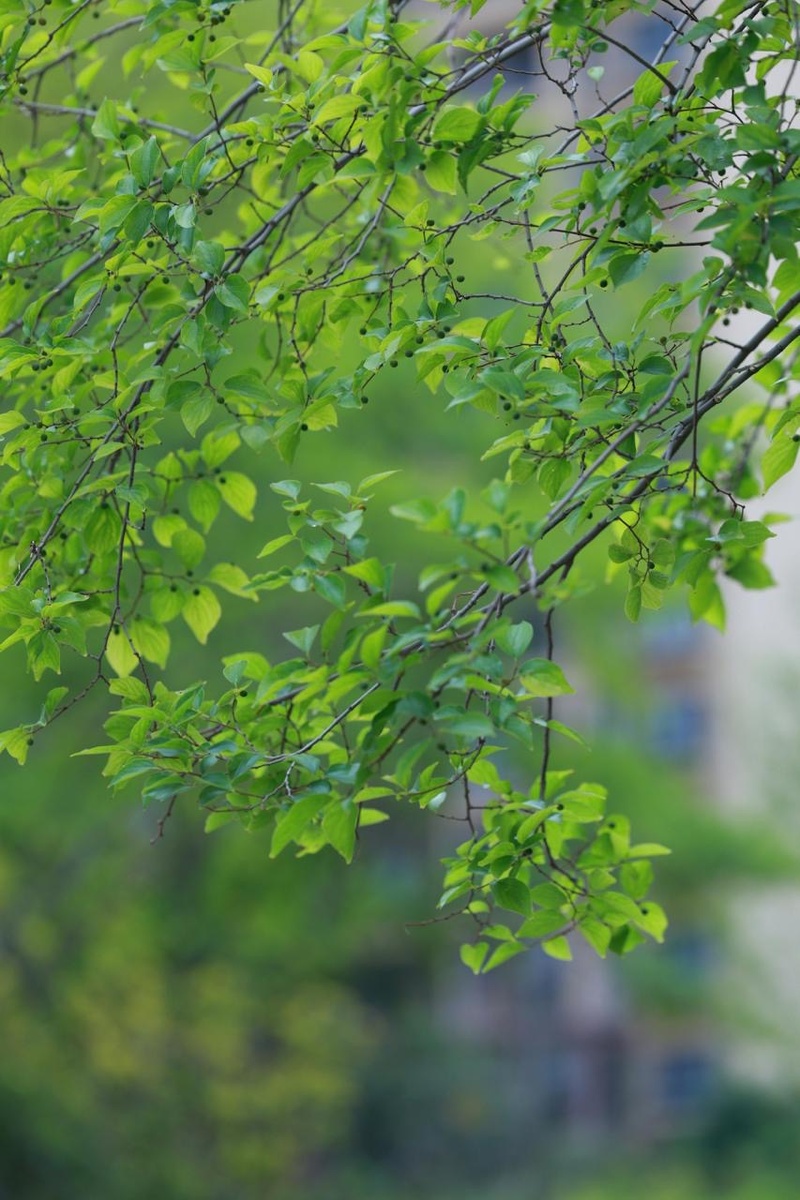 Фотограф: Andy Lee: https://www.pexels.com/ru-ru/photo/32933366/